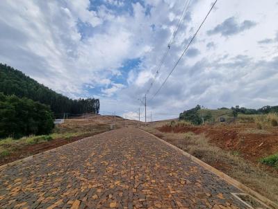 Loteamento para Venda, em Vitorino, bairro Azulão