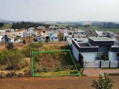 Terreno para Venda, em Vitorino, bairro Araucria Park