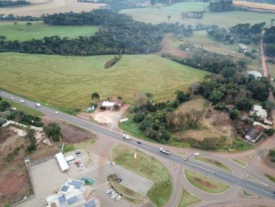 Terreno Industrial para Venda, em Vitorino, bairro Industrial