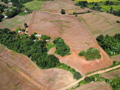 Chcara para Venda, em Vitorino, bairro Interior