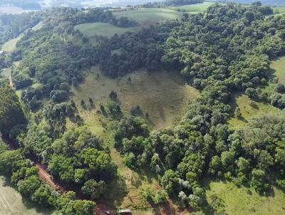 Chcara para Venda, em Vitorino, bairro Interior