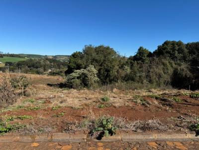 Terreno para Venda, em Vitorino, bairro Azulo