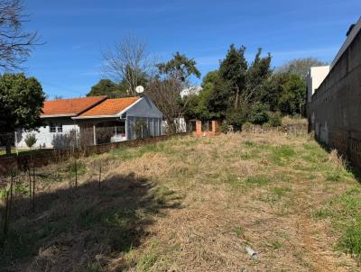 Terreno para Venda, em Vitorino, bairro 