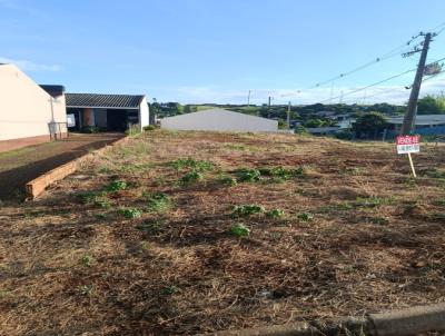 Terreno para Venda, em Pato Branco, bairro 