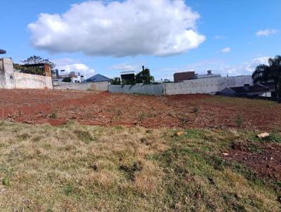 Terreno para Venda, em Pato Branco, bairro 