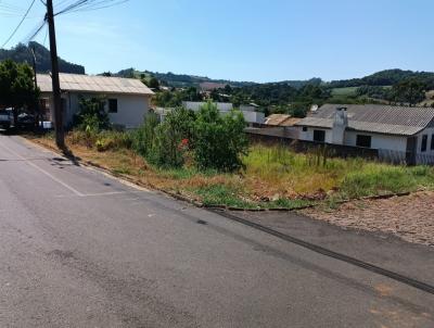 Terreno para Venda, em Vitorino, bairro Camargo